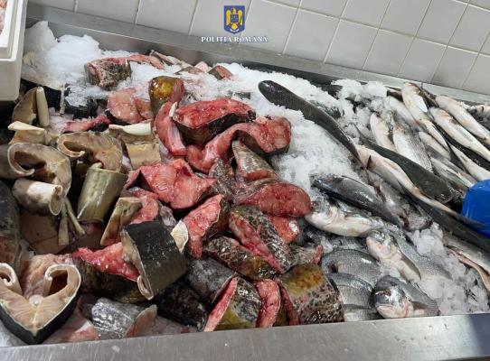 Dosare penale pentru braconaj piscicol