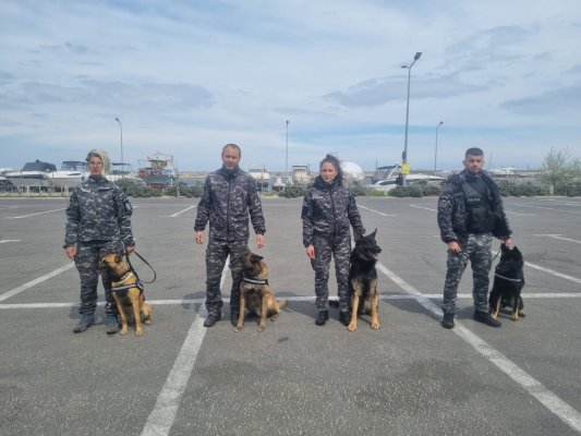 Peste 250 de poliţişti vor acţiona, zilnic, în perioada minivacanței de 1 Mai