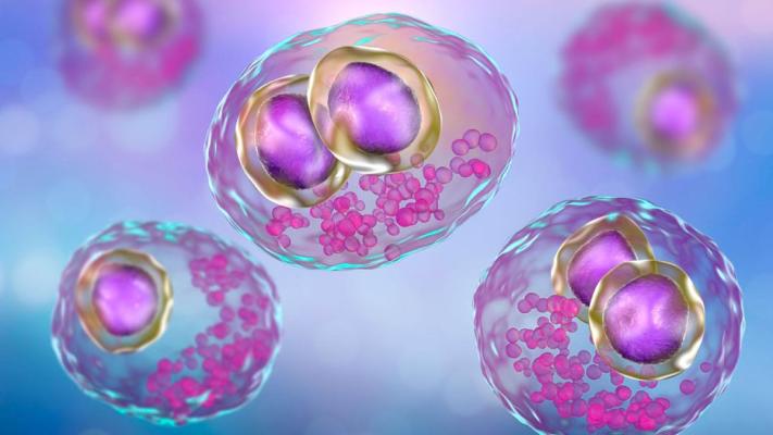 Citomegalovirus - ce este, simptome, diagnostic și complicații