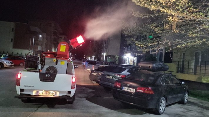 Primăria Constanța a început acțiunile de dezinsecție