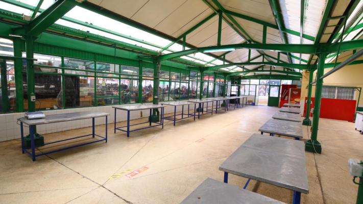 Când va începe comercializarea cărnii de miel, în Constanța 