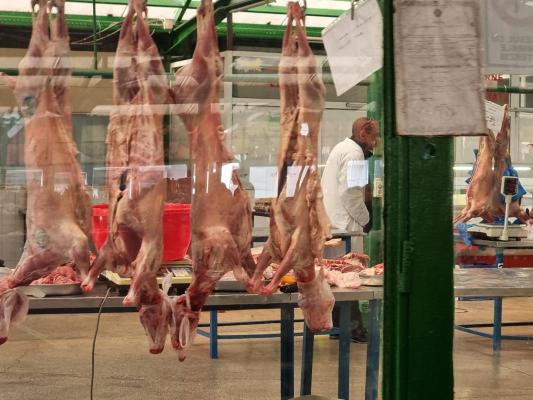 Crescătorii de oi vor să stabilească un preț minim pentru mieii de Paște
