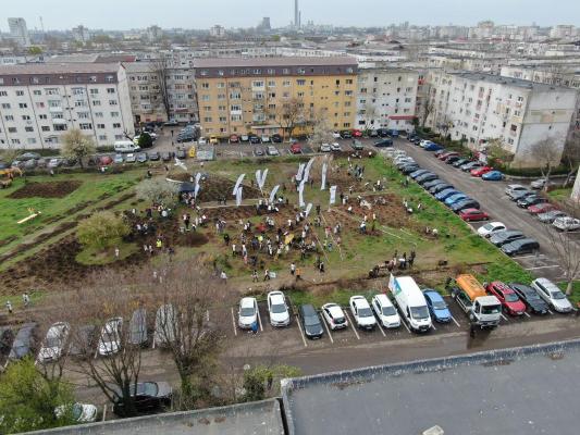 Prima mini-pădure urbană din Constanța, plantată în Inel 2  