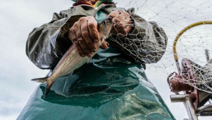 Pescarii de la Marea Neagră vor compensaţii pe fondul declinului activităţii din cauza războiului din Ucraina