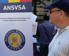 Mobilizare maximă la ANSVSA: Ultimele tranșe de vaccin au sosit anticipat în țară. Campania de vaccinare începe cu o zi mai devreme, duminică 25 octombrie Mobilizare maximă la ANSVSA: Ultimele tranșe de vaccin au sosit anticipat în țară. Campania de vaccinare începe cu o zi mai devreme, duminică 25 octombrie