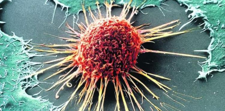 Descoperire revoluționară: Viruși vechi de un milion de ani ajută la combaterea cancerului