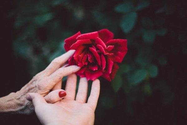 Peste 170 de seniori, premiaţi de Primăria Constanţa