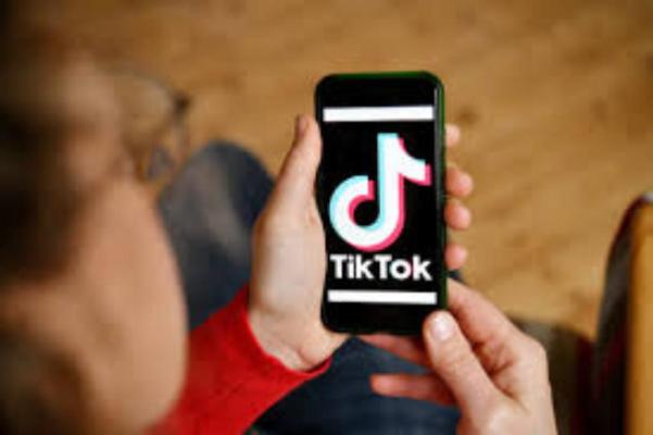 Austria se alătură ţărilor care interzic TikTok pe telefoanele de serviciu ale angajaţilor guvernamentali