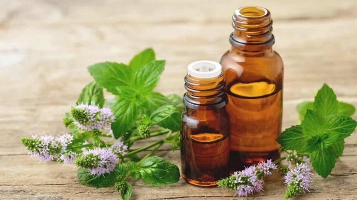 Planta care calmează nervii și asigură un creier sănătos până la bătrânețe