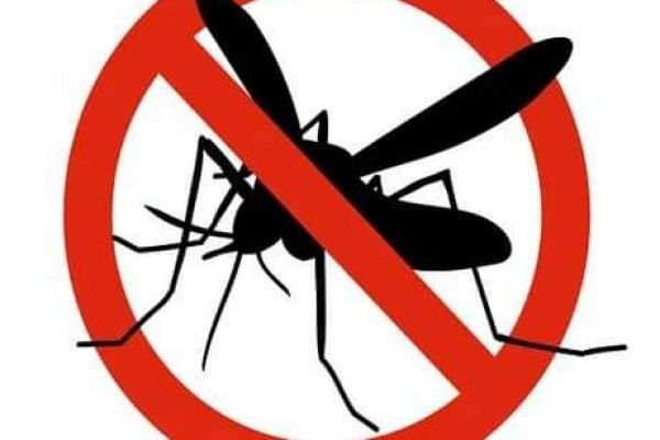 Primăria Cernavodă, tratamente pentru combaterea insectelor