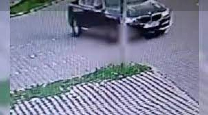 Căţel ucis cu cruzime într-o parcare din Argeş