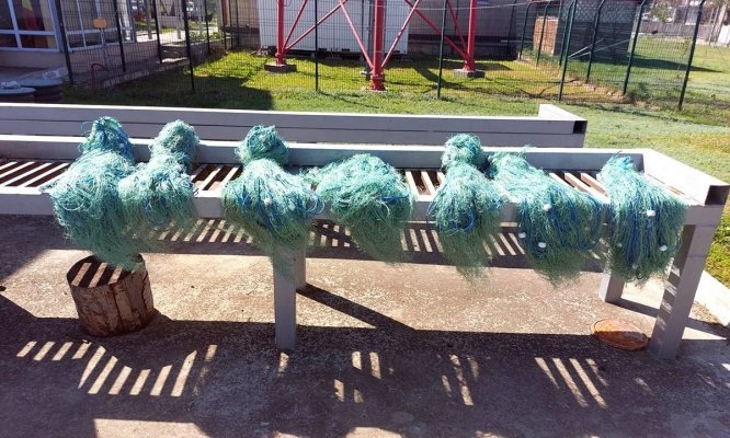 Aproximativ 60 de kilograme de pește şi 380 metri de plase, confiscate de poliţiştii de frontieră 