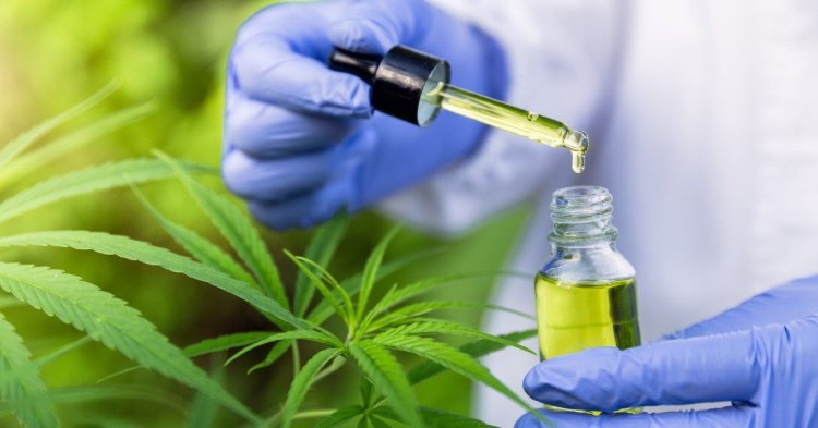 Studiu: Canabisul medicinal ar putea ameliora durerile cauzate de cancer