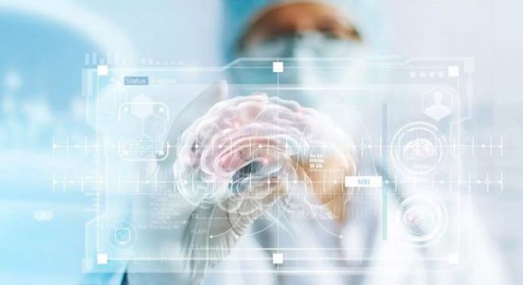Chinezii au reușit implantarea unui computer în creierul unei primate