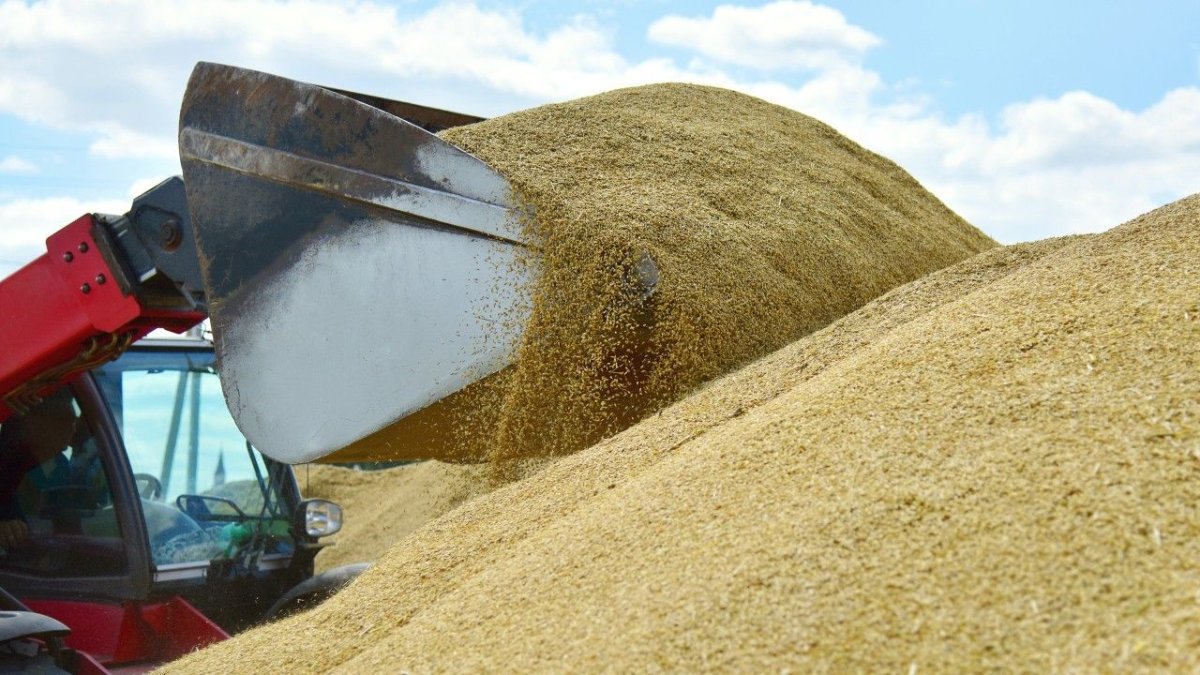 Fermierii constanteni ameninta cu proteste, cer interzicerea importului de cereale din Ucraina