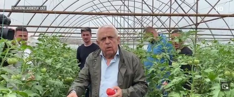 Petre Daea a mâncat roşii nespălate într-un solar din Izbiceni
