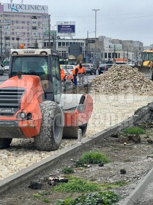 Firma care reabilitează bdul. Al. Lăpușneanu a ”împușcat” 50.000 de lei amendă de la Garda de Mediu