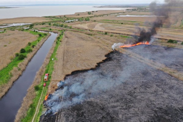 Incendiu de vegetație stuficolă, în județul Tulcea 