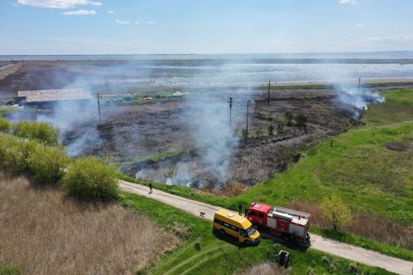 Incendiu la Gura Dobrogei: peste 20 de hectare de orz au fost afectate