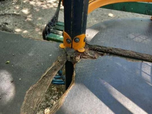ANPC, amenzi de zeci de mii de lei în parcurile din București
