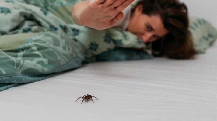 Cum scoți o insectă dacă ți-a intrat în ureche? 6 sfaturi de la medic