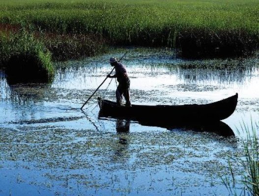 Un singur pescar din rezervaţie a atras fonduri europene prin FLAG Delta Dunării