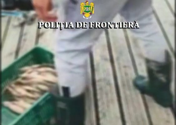 Contrabandist prins cu 22 de kilograme de sturion, de polițiștii de frontieră! Video