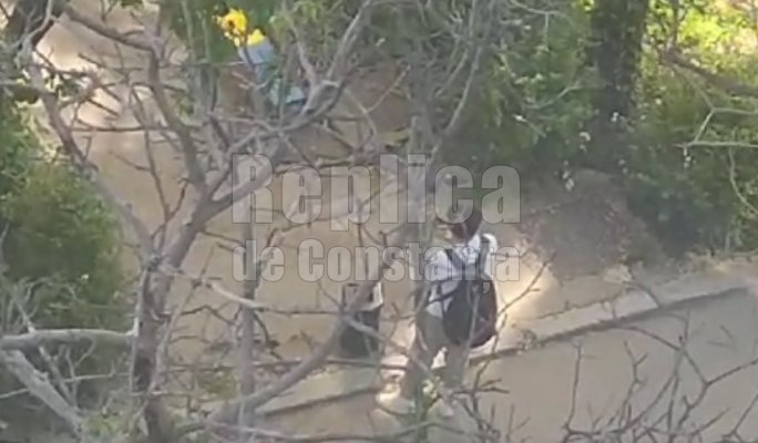 „Sub balcon, eu ți-am cântat o serenadă“, ziua în amiaza-mare. Video 
