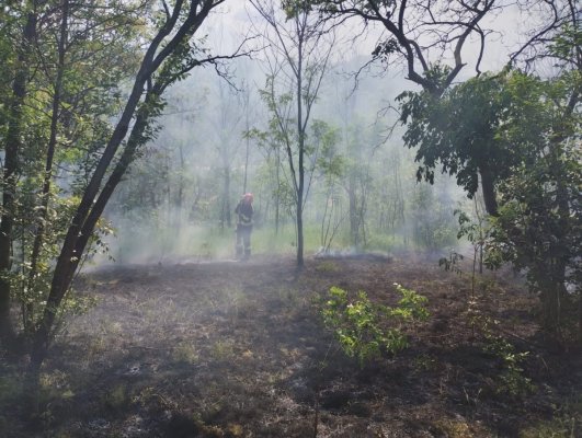 Weekend de foc pentru salvatorii tulceni