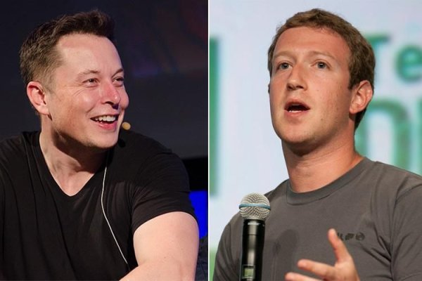 Elon Musk şi Mark Zuckerberg se declară gata să se înfrunte în ringul de arte marţiale