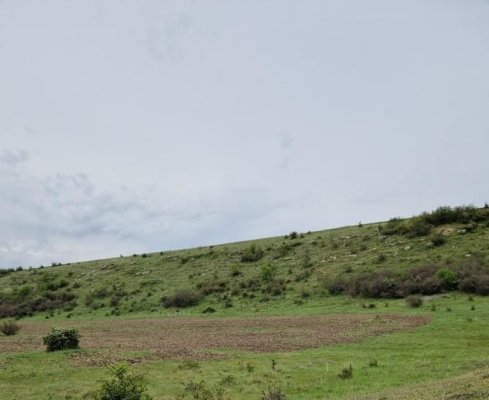 Comuna Albești, sancționată cu 30.000 de lei de Garda de Mediu