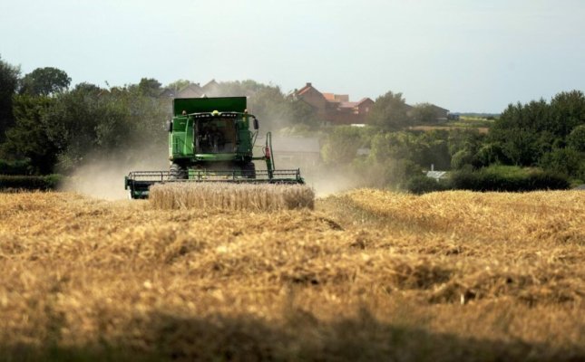 Statele vecine Ucrainei vor putea prelungi embargoul vizând cerealele până pe 15 septembrie