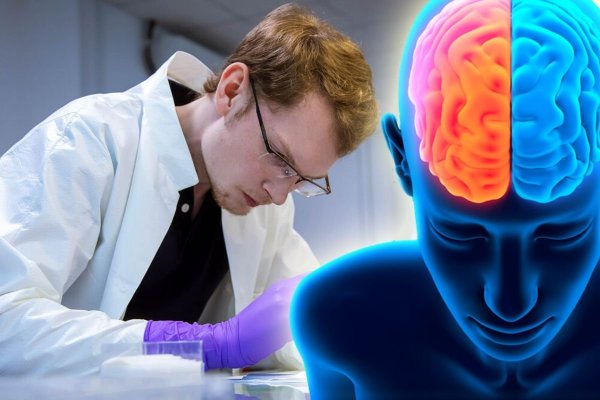 Studiu inedit: Cum afectează călătoriile spaţiale creierul uman