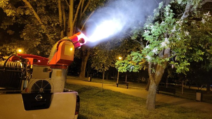 Acțiuni intensificate de dezinsecție în municipiul Constanța  