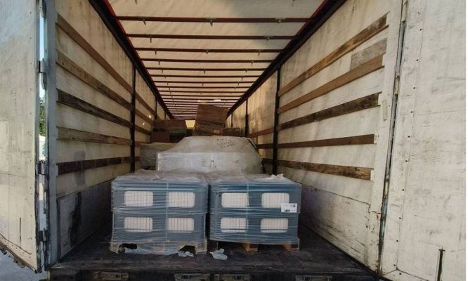 19 străini depistați de poliţiştii de frontieră,  ascunşi în remorca unui autocamion