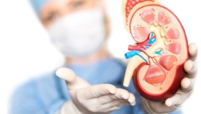 Infecție la rinichi: 10 semne silențioase care anunță această afecțiune