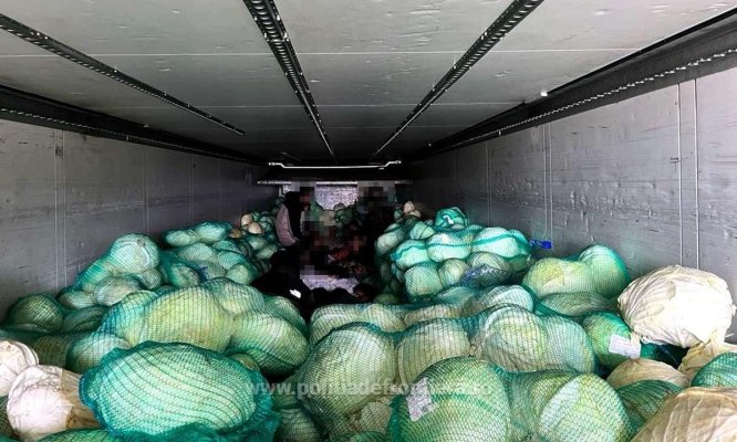 28 de cetățeni sirieni, depistați ascunși într-un camion încărcat cu varză. Video