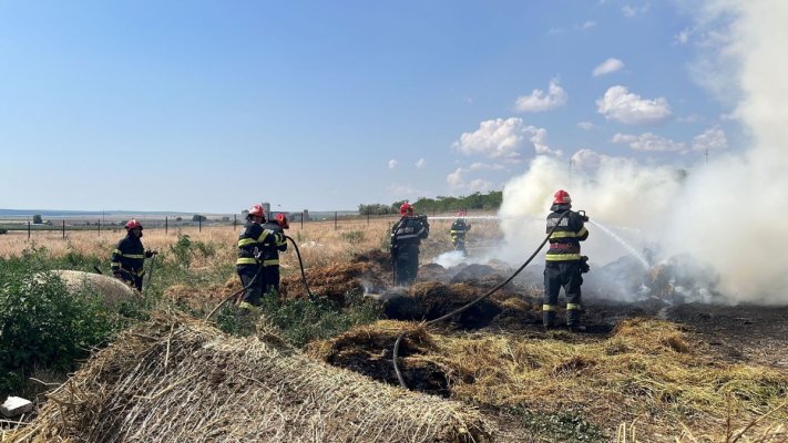 Incendiu de vegetație uscată, între Lumina și Năvodari
