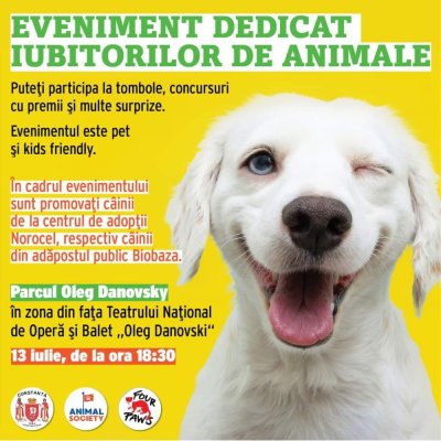 Adoptă un cățel! Salvează o viață!  
