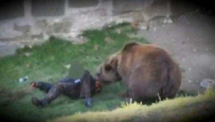 Bărbat rănit după ce a fost atacat de un urs