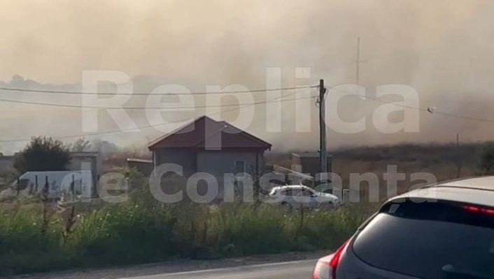 Incendiu vegetație uscată, pe varianta Ovidiu