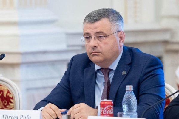 Senat: Absenţa unui vicepreşedinte de la întrunirile Comitetului director al ICR, analizată miercuri în comisiile de resort