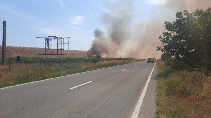 Un nou incendiu de vegetație uscată, în Poarta Albă. Video