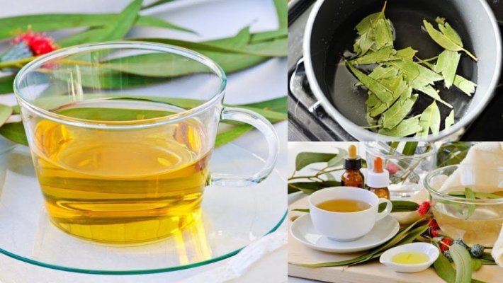 Infecțiile respiratorii sunt chinuitoare indiferent de anotimp: Remediile naturale care le combat cu succes