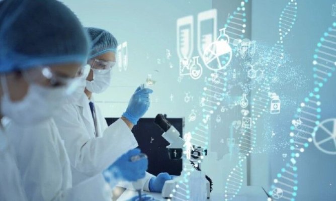 O proteină ar putea ajuta la vindecarea bolilor cardiovasculare şi a diabetului