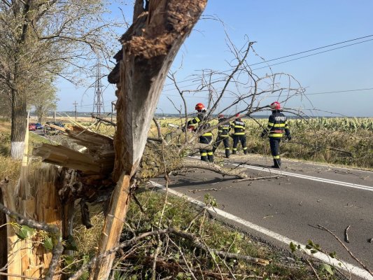 Intervențiile pompierilor tulceni pe timpul codului galben de vânt puternic