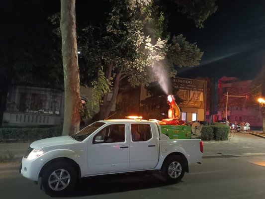 Primăria Municipiului Constanța a intensificat acțiunile de dezinsecție