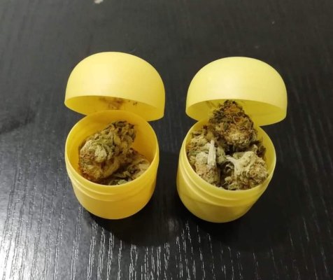 Bărbat prins cu droguri la Vama Veche, de jandarmi 