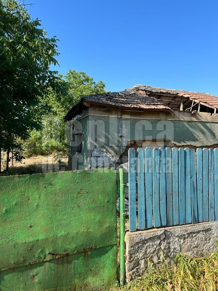 Diversiune de doi lei! De la vila de lux, Cristian Radu a ajuns sa „locuiasca“ intr-o maghernita din Mangalia. Video