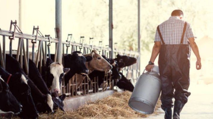 Măsurile obligatorii pe care trebuie să le respecte crescătorii de animale în perioadele caniculare